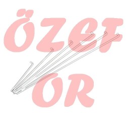 2 MM 263 JANT TELİ [ 26*1.95 ] - 