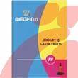 700 X 28 / 38C A/V BUTYL [48MM] [KUTULU] - MEGHNA - 1