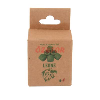 AĞIRLIK SETİ 6'LI [LEONE] [6,5gr 16x13]- 50cc - 2