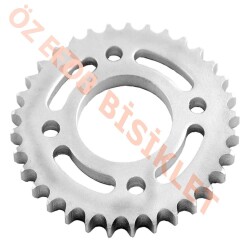 ARKA DİŞLİ 36T CG - 