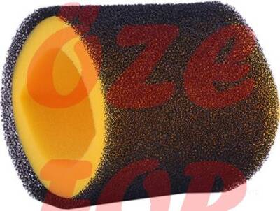 HAVA FILTRE ELEMANI CG - ACTIVA SFC MINI - 1