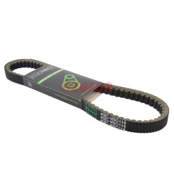 KAYIŞ DIO [799 x 19.5 x 30] [SOĞUTUCULU] MOTTO - 