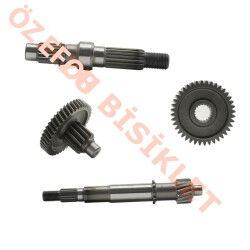 ŞANZIMAN KOMPLE - ARORA FREEDOM - 