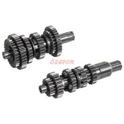 ŞANZIMAN KOMPLE CG 125CC - 