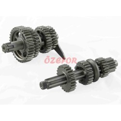 ŞANZIMAN KOMPLE FT-110cc LİFAN - CUB - 