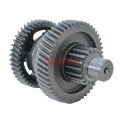 ŞANZIMAN KOMPLE LONCIN 200 ATV - 