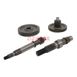 ŞANZIMAN KOMPLE [ORJİNAL] - REVIVAL - 