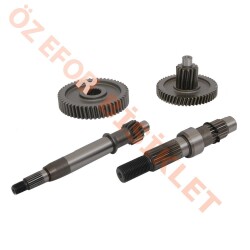 ŞANZIMAN KOMPLE [ORJİNAL] - REVIVAL - (1)