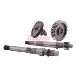 ŞANZIMAN KOMPLE SCOOTER - 