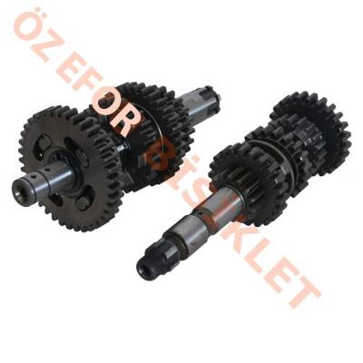 ŞANZIMAN KOMPLE - YBR - 1