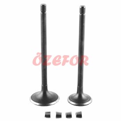 SUBAP TAKIMI [TIRNAKLI] [DQ] CG 100 - 