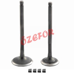 SUBAP TAKIMI [TIRNAKLI] [DQ] FIZY - 