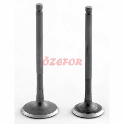 SUBAP TAKIMI [TIRNAKLI] [VTC] FIZY - 